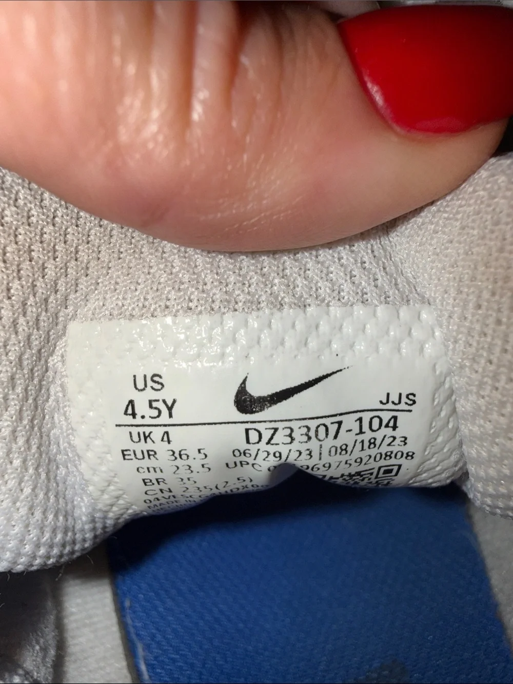 Nike Kids Sneakers in Light Gray and Royal Blue